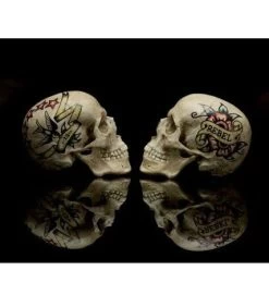 The Book Of Skulls 10 The Book Of Skulls -Jouets Séries Magasin 10112