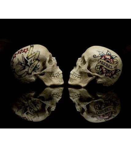 The Book Of Skulls 5 The Book Of Skulls – Image 3