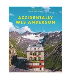 Accidentally Wes Anderson