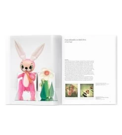 Taschen Koons 13 Taschen Koons -Jouets Séries Magasin 43115