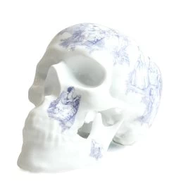 Skull TJ Blue- Noon