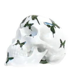 Skull Green Butterfly - Noon