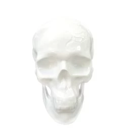 Skull KOI Engraving - Noon -Jouets Séries Magasin 46469