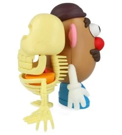 4D XXRAY Mr Potato Head -Jouets Séries Magasin 49036