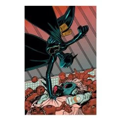 DC Poster Portfolio : James Jean 20 DC Poster Portfolio : James Jean -Jouets Séries Magasin 49286