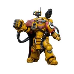 Imperial Fists Third Captain Tor Garadon