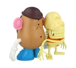 4D XXRAY Mr Potato Head -Jouets Séries Magasin MR PATATO HEAD XXRAY 10