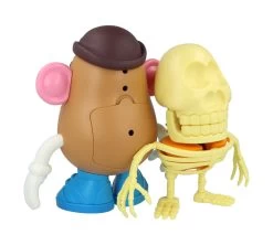 4D XXRAY Mr Potato Head -Jouets Séries Magasin MR PATATO HEAD XXRAY 11