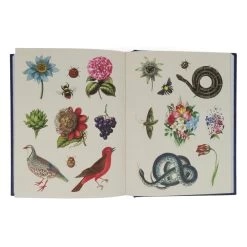 The Antiquarian Sticker Book -Jouets Séries Magasin antiquairestiker3