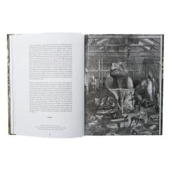 Dinosaurs Are Collectible -Jouets Séries Magasin dinosaurs are collectible4