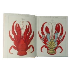 John Derian - Sticker Book 11 John Derian - Sticker Book -Jouets Séries Magasin johnderianstickerbook10