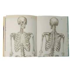 John Derian - Sticker Book 14 John Derian - Sticker Book -Jouets Séries Magasin johnderianstickerbook13