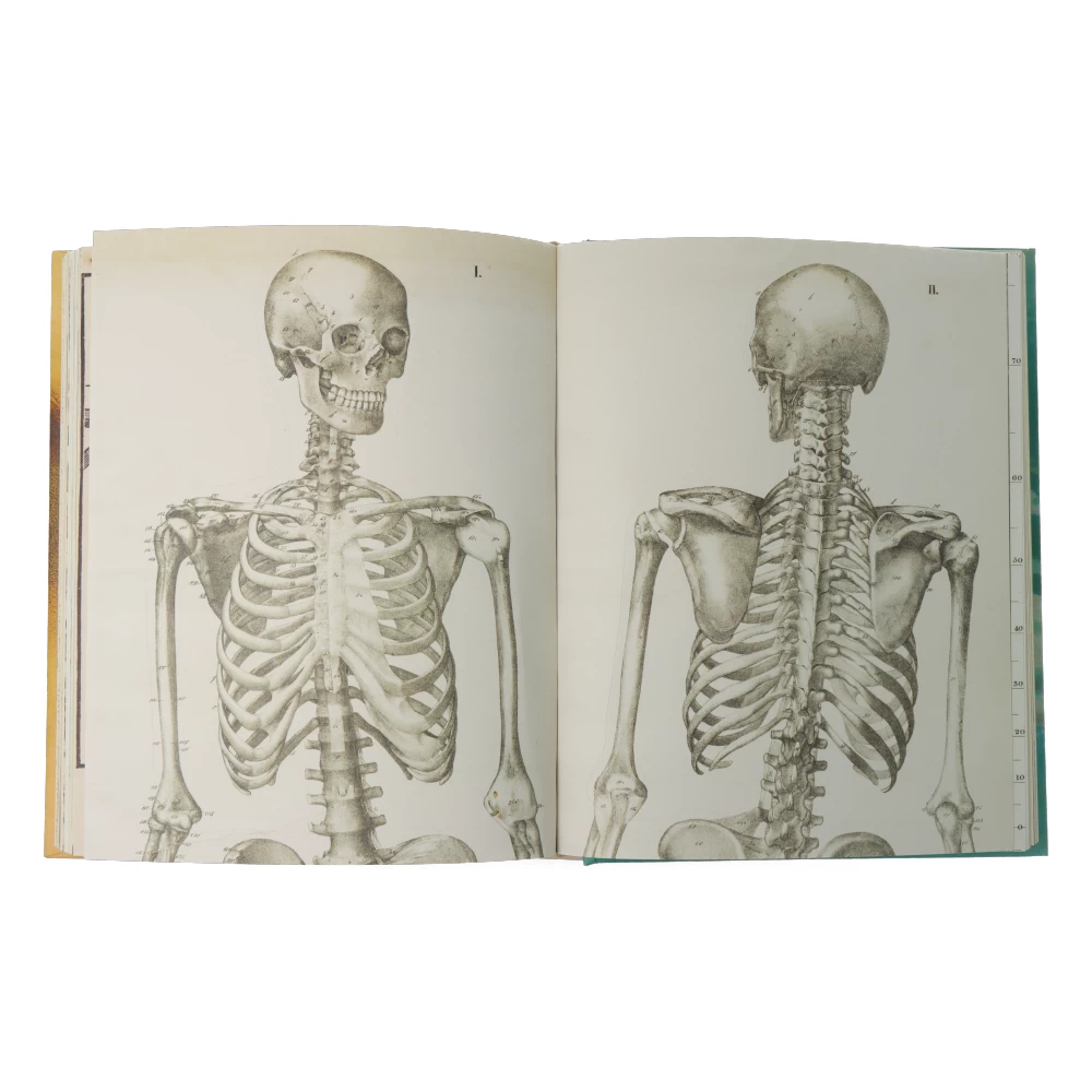 John Derian - Sticker Book 8 John Derian - Sticker Book – Image 6