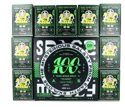 Mega Space Molly 100% Series 2-B -Jouets Séries Magasin megaspacemolly5