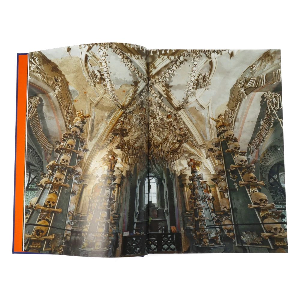 Memento Mori The Dead Among Us (Compact Ed) 4 Memento Mori The Dead Among Us (Compact Ed) – Image 2