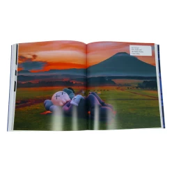 Kaws : Livre De Phaidon -Jouets Séries Magasin phaidonkaws17