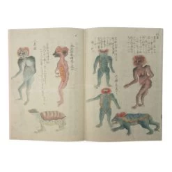 Yokai -Jouets Séries Magasin yokai3